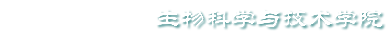beat365中文唯一官网